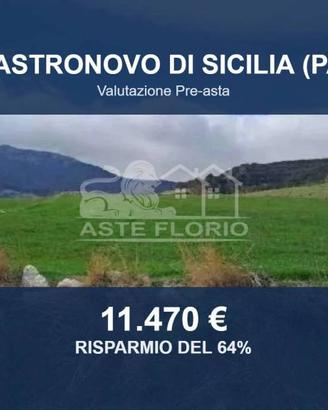 Immobile in asta di 40750 m² a Castronovo di Sicil