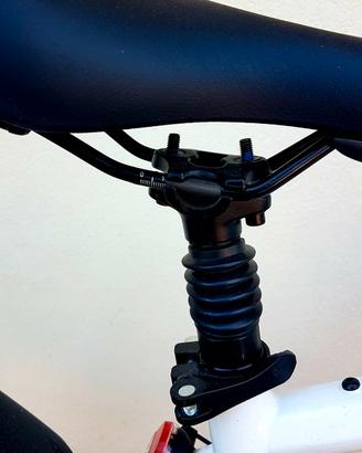 bicicletta