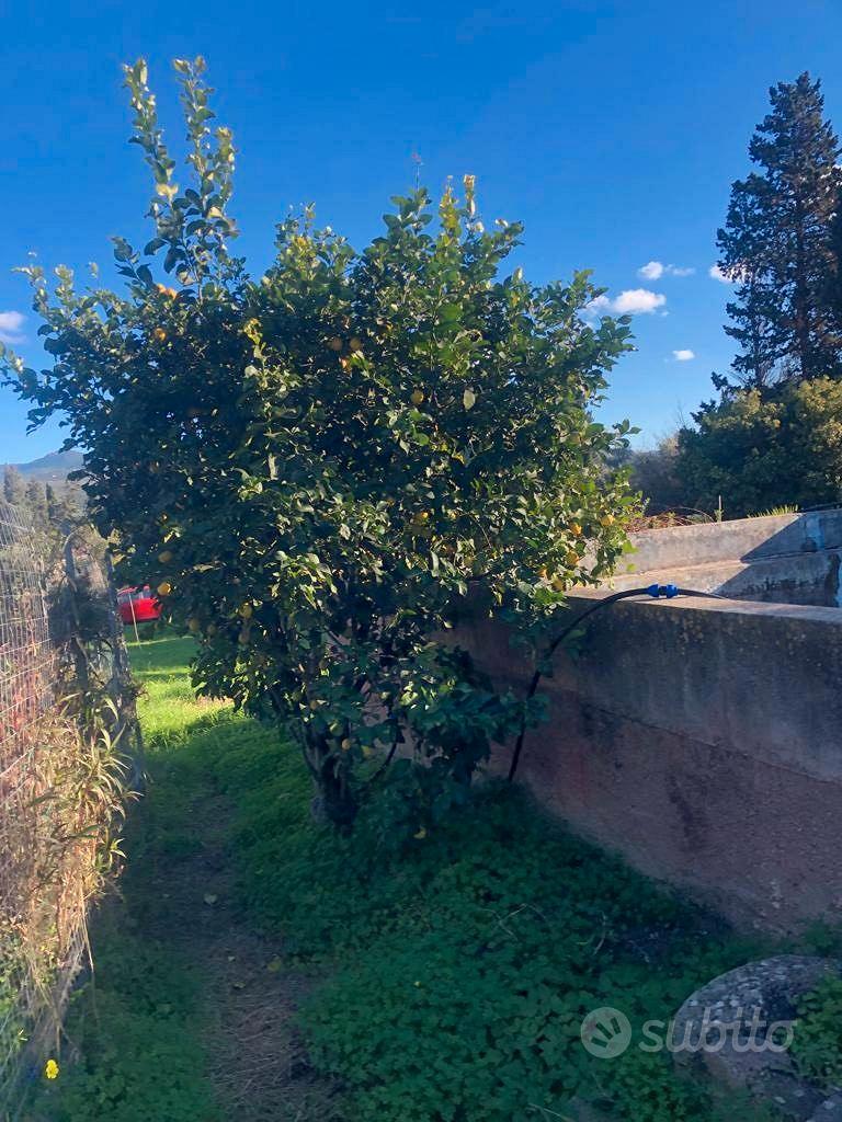 Quartucciu, Is Concias, terreno edificabile - Vista 4