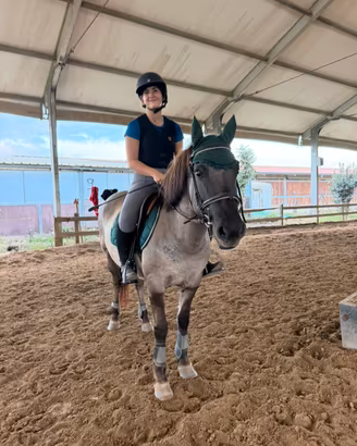 Cavallo