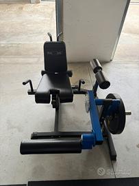 Leg curl/leg extension Maxxus