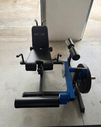 Leg curl/leg extension Maxxus