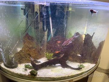 Acquario 200 litri