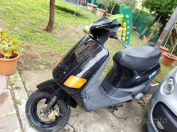 Zip Piaggio
