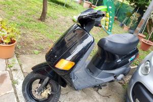 Zip Piaggio