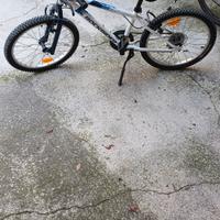 bicicletta 20 pollici