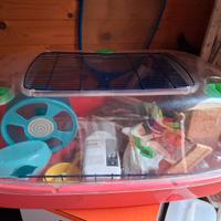 gabbietta per cricieto