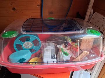 gabbietta per cricieto