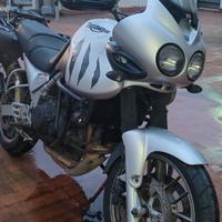 Triumph Tiger 955i