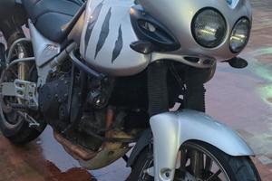 Triumph Tiger 955i