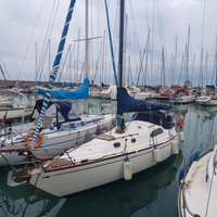 Barca a vela leader 31