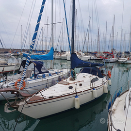 Barca a vela leader 31