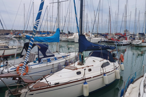 Barca a vela leader 31