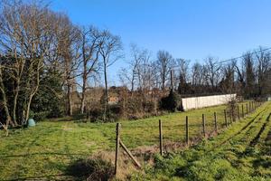 Terreno con capannone