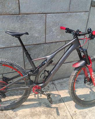 Stumpjumper carbon