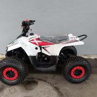 Miniquad Profive Explorer 110 cc 8-12 anni