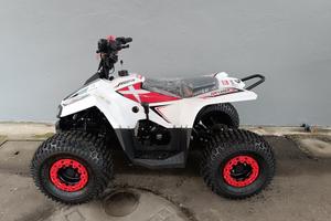 Miniquad Profive Explorer 110 cc 8-12 anni