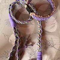 Guinzaglio e collare