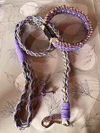 Guinzaglio e collare