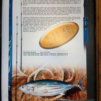 Colmic Challenger Palamita