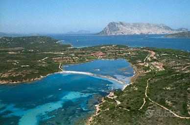 Sardegna Coda Cavallo