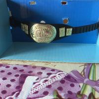 Intercontinental Champion Wrestling cintura toys