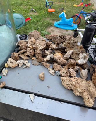 Rocce acquario marino