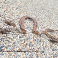 Speroni e ferro di cavallo porta fortuna