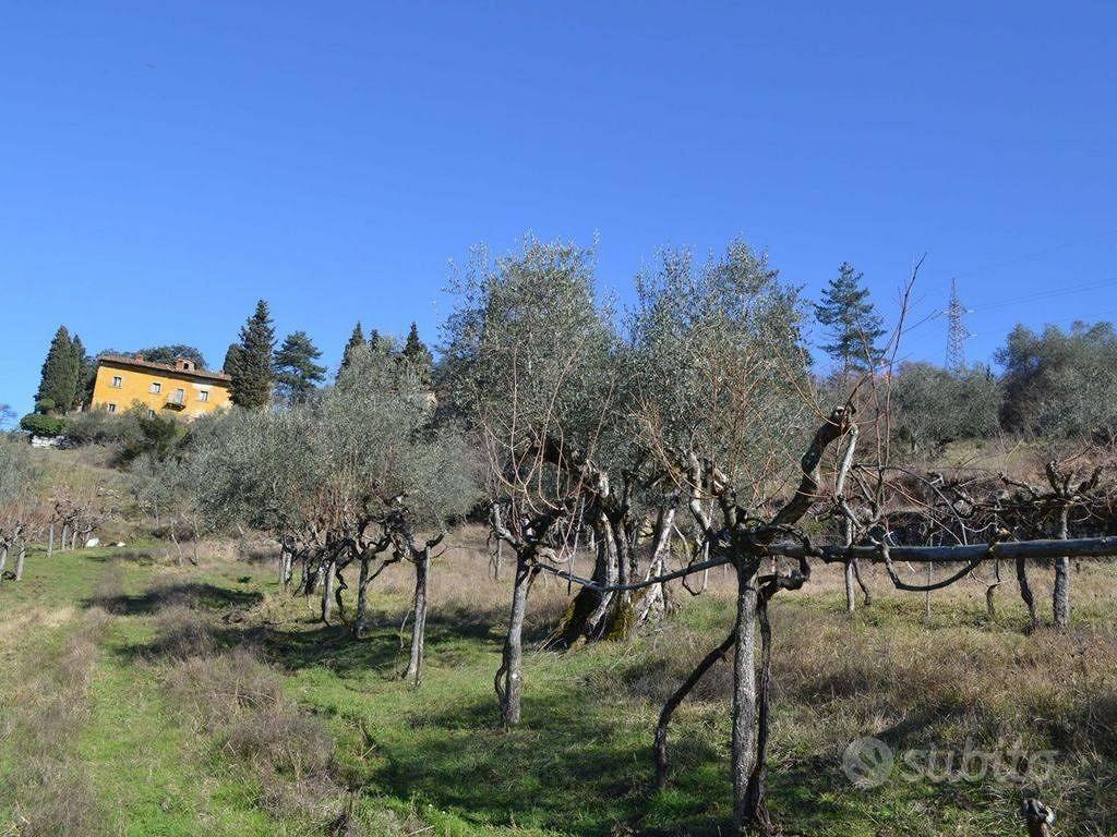 Rustico / Casale di 390 m² con più di 5 locali e b - Vista 4