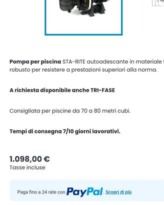 Pompa Piscina di qualità 1,5 CV STA RITE