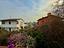 Immagine 25