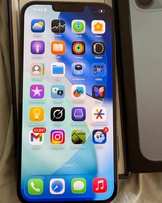 Iphone 13 pro max 1TB
