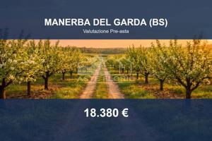 Immobile in asta di 2250 m² a Manerba del Garda