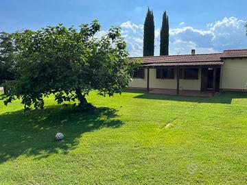 Grazioso appartamento immerso nel verde