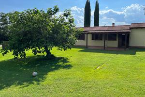 Grazioso appartamento immerso nel verde