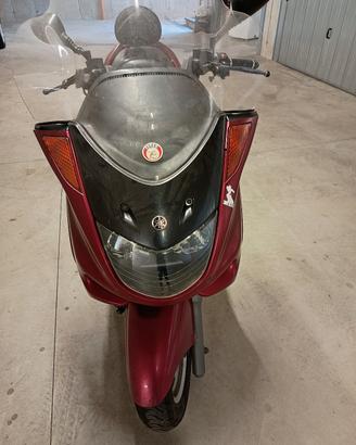 mayestic 250
