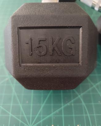 Coppia Manubri Professionali HEX 15kg + 15kg 