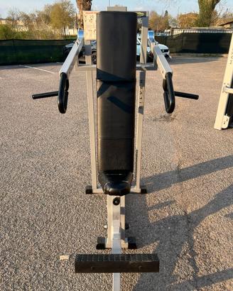 Chest Press Professionale Technogym con Pacco pesi