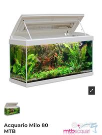 ACQUARIO MTB MILO 80 LITRI