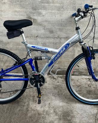 Bicicletta