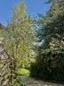 rustico-casale-di-214-m²-con-3-locali-a-pertica-