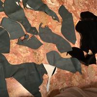 Tappezzetia lancia delta integrale