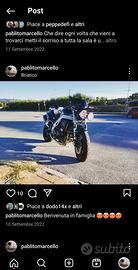 triumph 955i