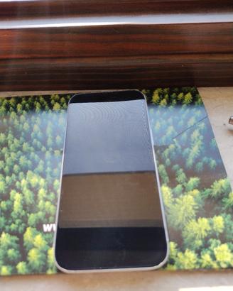 display originale iPhone 15 