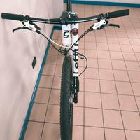 MTB CANNONDALE F29