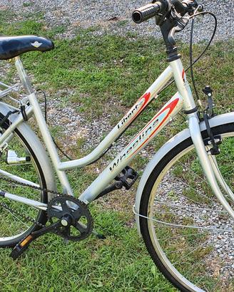 bicicletta 
