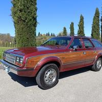 JEEP Wagoneer AMC EAGLE 4.2L ISCR.ASI