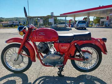 Moto Guzzi Lodola 235