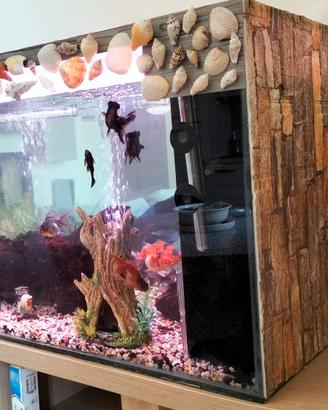acquario 200 litri