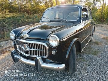 fiat 1100 del 57